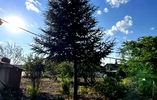 Къща в Стара Загора, Раднево