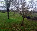 Снимка 2 — Къща в Стара Загора, с. Арнаутито