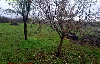 Къща в Стара Загора, с. Арнаутито