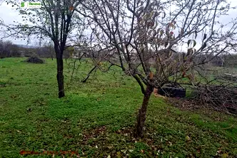 Къща в Стара Загора, с. Арнаутито