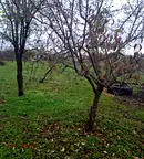 Къща в Стара Загора, с. Арнаутито
