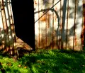Снимка 5 — Къща в Стара Загора, с. Бяло поле