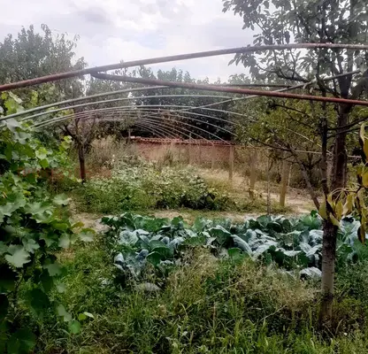 Снимка 5 — Къща в Стара Загора, с. Черна гора