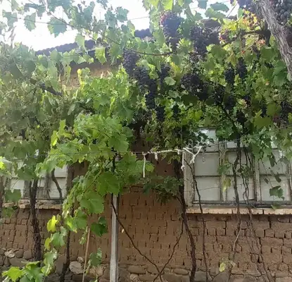 Photo 2 — House in Oblast Stara Zagora, Dunavci