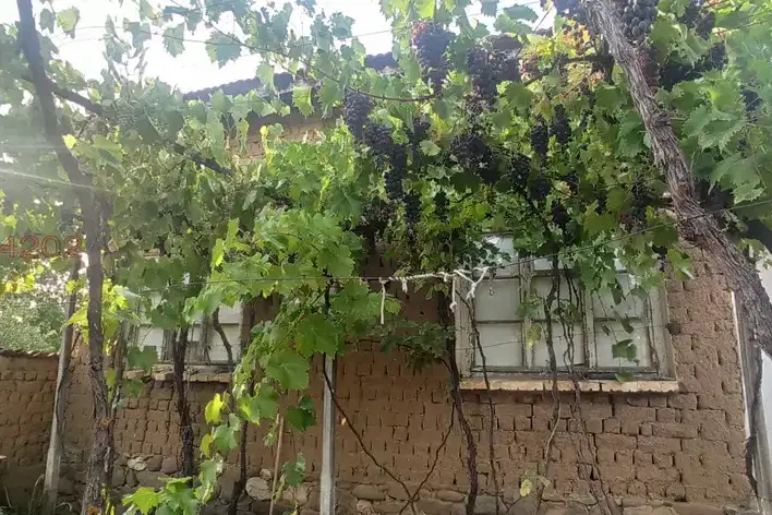 House in Oblast Stara Zagora, Dunavci
