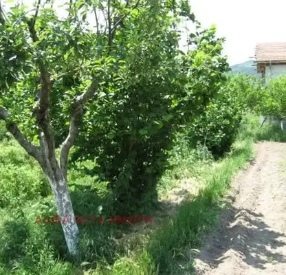 Photo 5 — House in Stara Zagora, Konare
