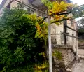 Снимка 3 — Къща в Стара Загора, с. Малко Дряново