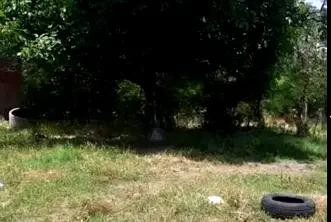 Къща в Стара Загора, с. Обручище
