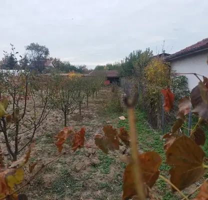 Снимка 3 — Къща в Стара Загора, с. Памукчии