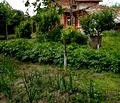 Снимка 4 — Къща в Стара Загора, с. Преславен