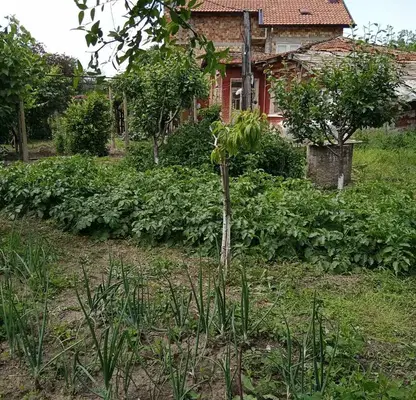 Снимка 4 — Къща в Стара Загора, с. Преславен