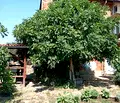 Снимка 5 — Къща в Стара Загора, с. Преславен