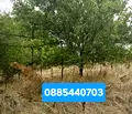 Снимка 2 — Къща в Стара Загора, с. Пряпорец