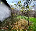 Снимка 5 — Къща в Стара Загора, с. Средно ище