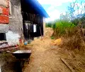 Снимка 3 — Къща в Стара Загора, с. Знаменосец