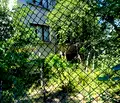Снимка 3 — Къща в Търговище, Попово