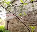 Снимка 2 — Къща в Търговище, с. Долец