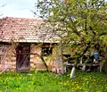 Снимка 4 — Къща в Търговище, с. Медовина