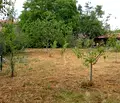 Снимка 3 — Къща във Варна, с. Кривня