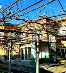 Къща във Варна, Вълчи дол