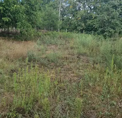 Photo 4 — House in Oblast Varna, Vylchi Dol