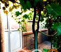 Снимка 4 — Къща във Варна, Вълчи дол