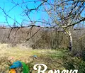 Снимка 4 — Къща във Варна, с. Ботево