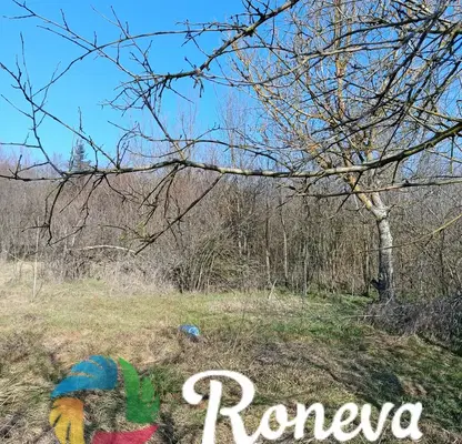 Снимка 4 — Къща във Варна, с. Ботево