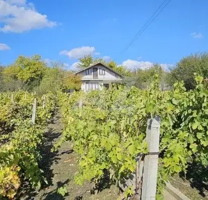 Снимка 4 — Къща във Варна, с. Дъбравино
