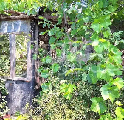 Снимка 2 — Къща във Варна, с. Караманите