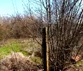 Снимка 5 — Къща във Варна, с. Осеново