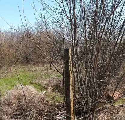 Снимка 5 — Къща във Варна, с. Осеново