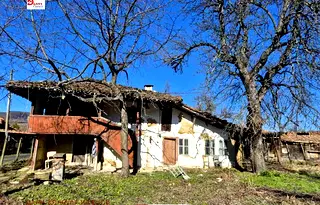 Къща във Велико Търново, Елена