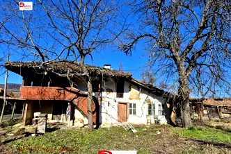 Къща във Велико Търново, Елена