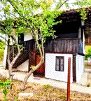 Къща във Велико Търново, Елена