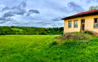 Къща във Велико Търново, Елена