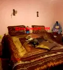 Къща във Велико Търново, Горна Оряховица