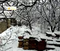 Снимка 3 — Къща във Велико Търново, Горна Оряховица