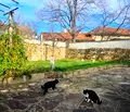 Снимка 5 — Къща във Велико Търново, Килифарево
