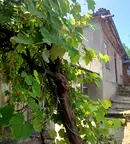 Къща във Велико Търново, Лясковец