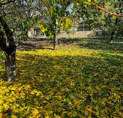 Photo 4 — House in Oblast Veliko Tyrnovo, Strajica