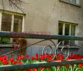 Снимка 2 — Къща във Велико Търново, Свищов