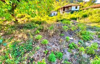 Къща във Велико Търново, Златарица