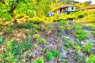 Къща във Велико Търново, Златарица