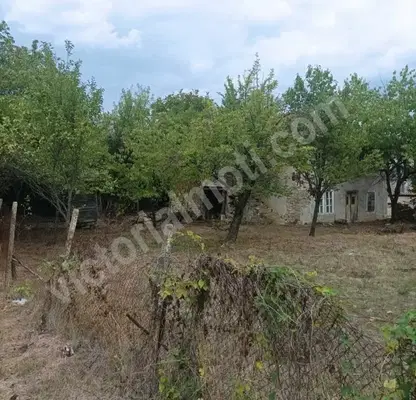 Photo 4 — House in Oblast Veliko Tyrnovo, Balvan