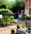 Къща във Велико Търново, с. Балван