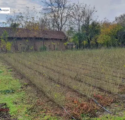 Снимка 5 — Двуетажна къща с голям двор в с. Батак, обл. Велико Търново
