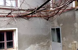 Къща във Велико Търново, с. Беброво