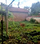 Къща във Велико Търново, с. Дичин