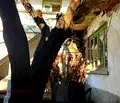Снимка 5 — Къща във Велико Търново, с. Джулюница